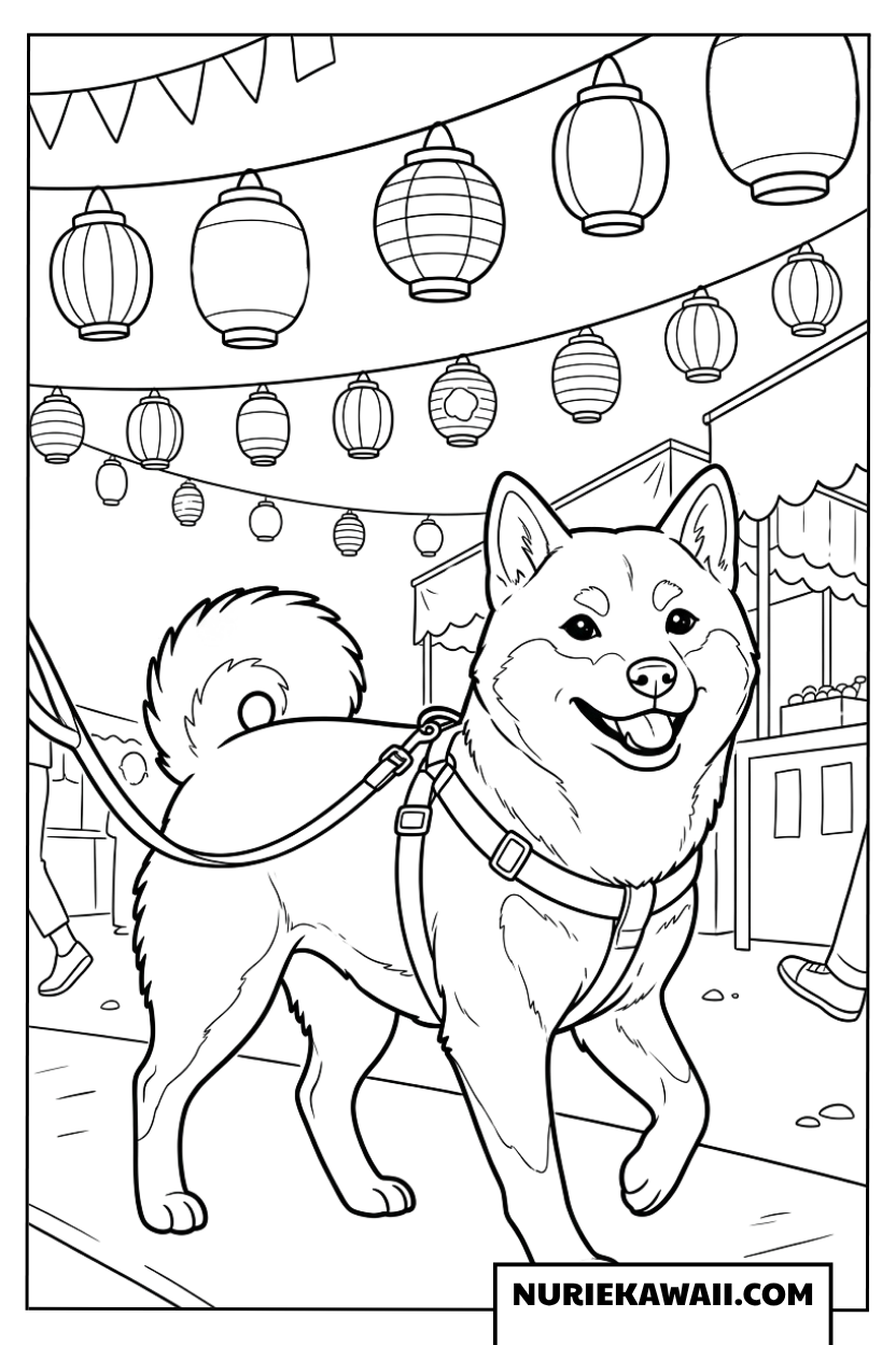 お祭りの提灯の下を散歩する柴犬の塗り絵