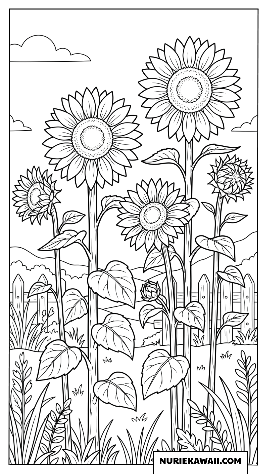 のどかな夏の庭園に咲き誇るひまわり畑の風景塗り絵