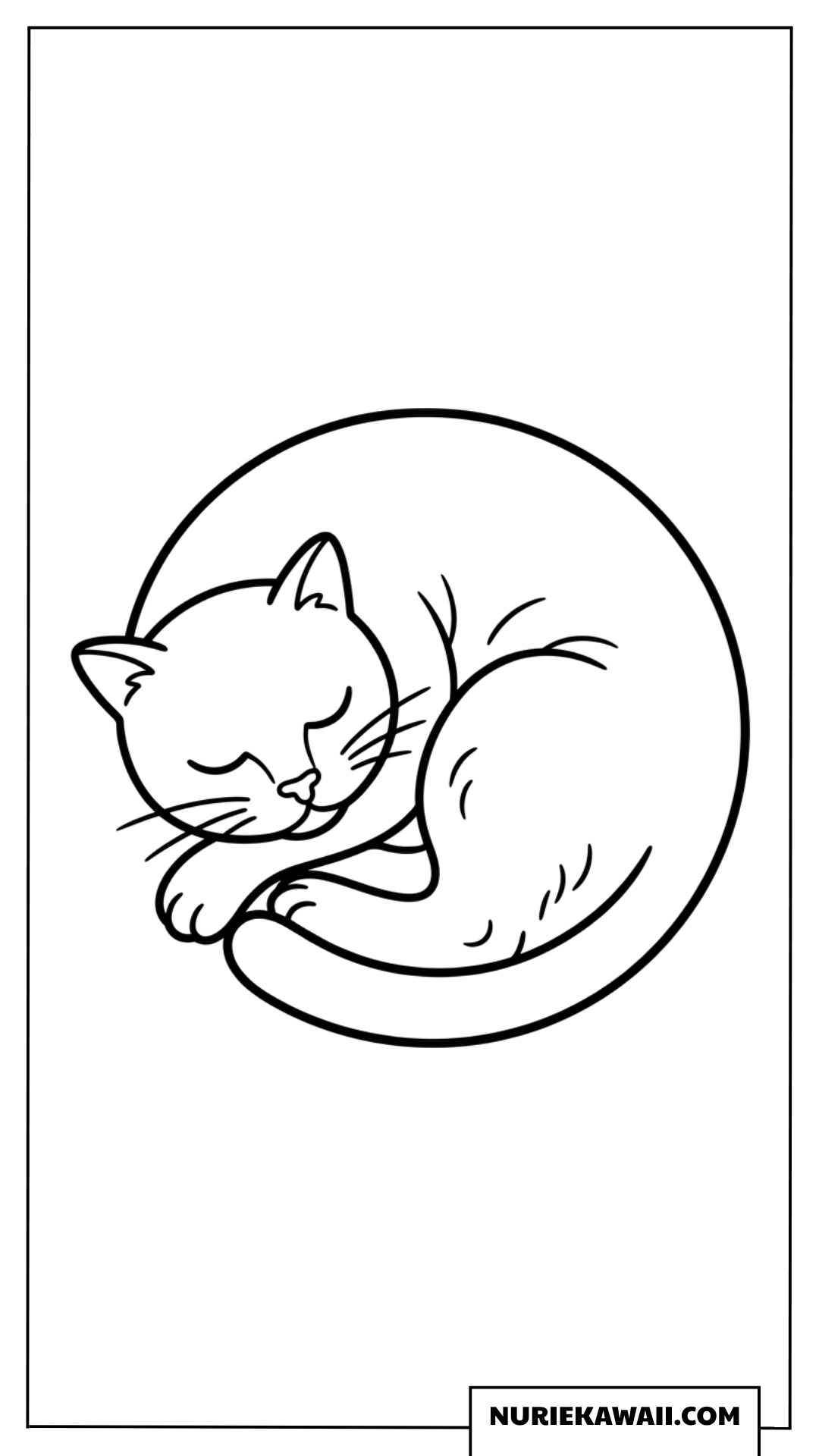 まるくなってスヤスヤと眠る可愛い猫のシンプルな塗り絵