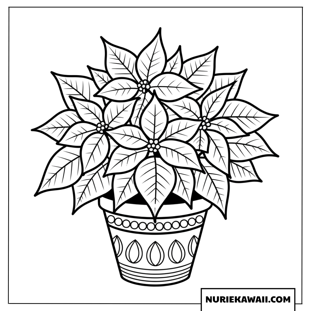 ポインセチアの鉢植えの塗り絵
