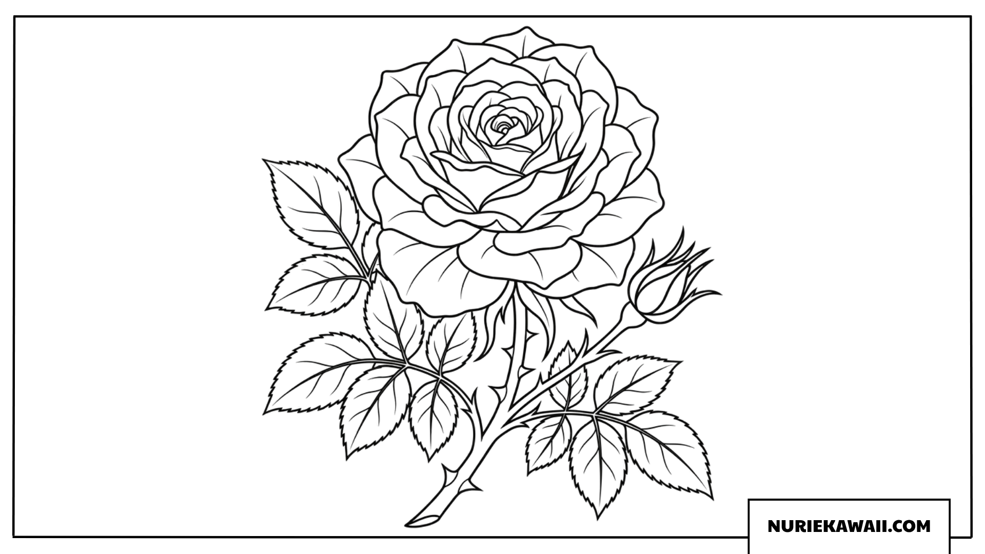 優雅な薔薇の塗り絵