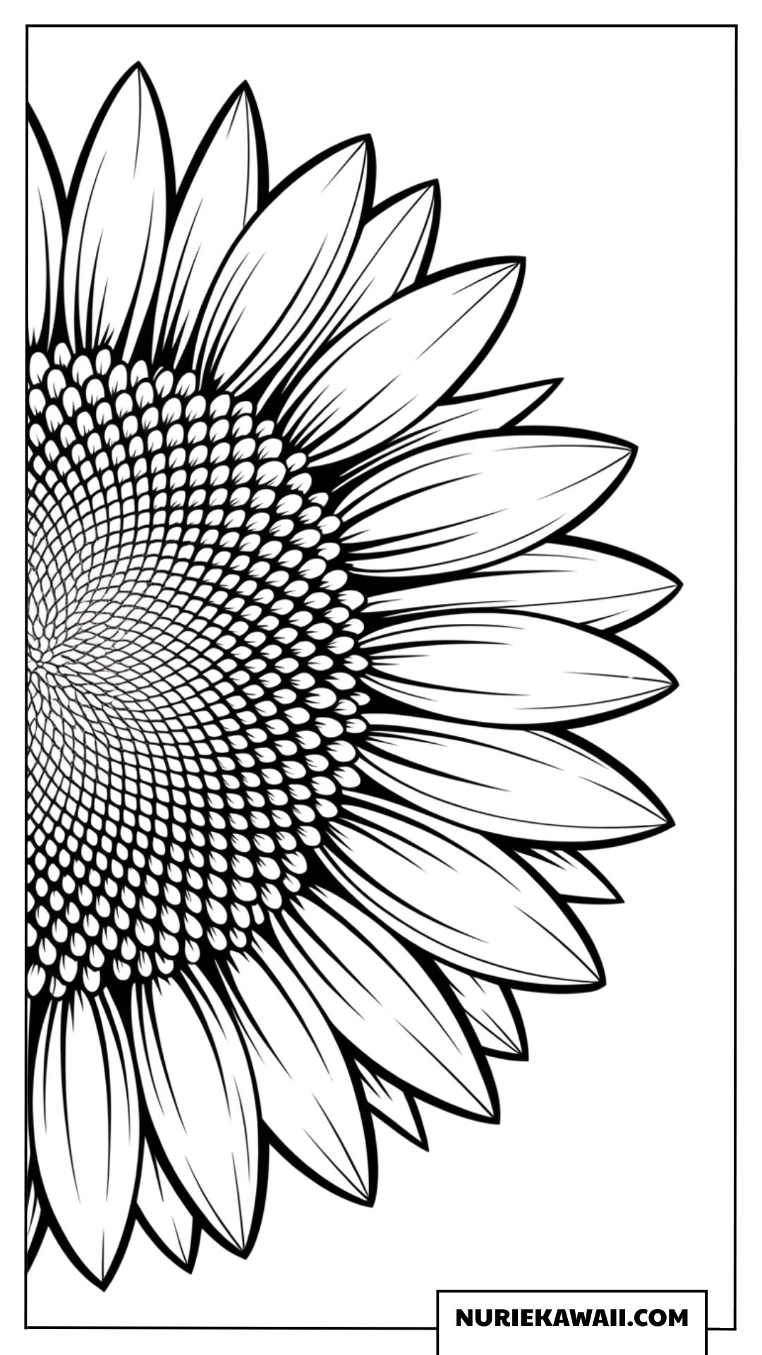 右側に大輪のひまわりを半分クローズアップした芸術的な塗り絵