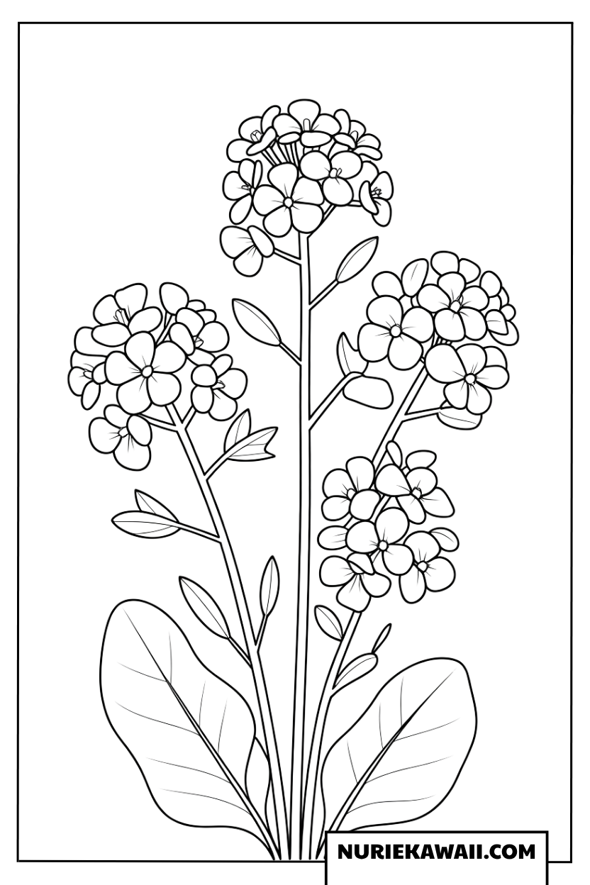 日だまりの菜の花の塗り絵