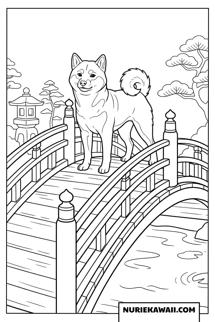 日本庭園の太鼓橋の上に立つ凛々しい柴犬の塗り絵