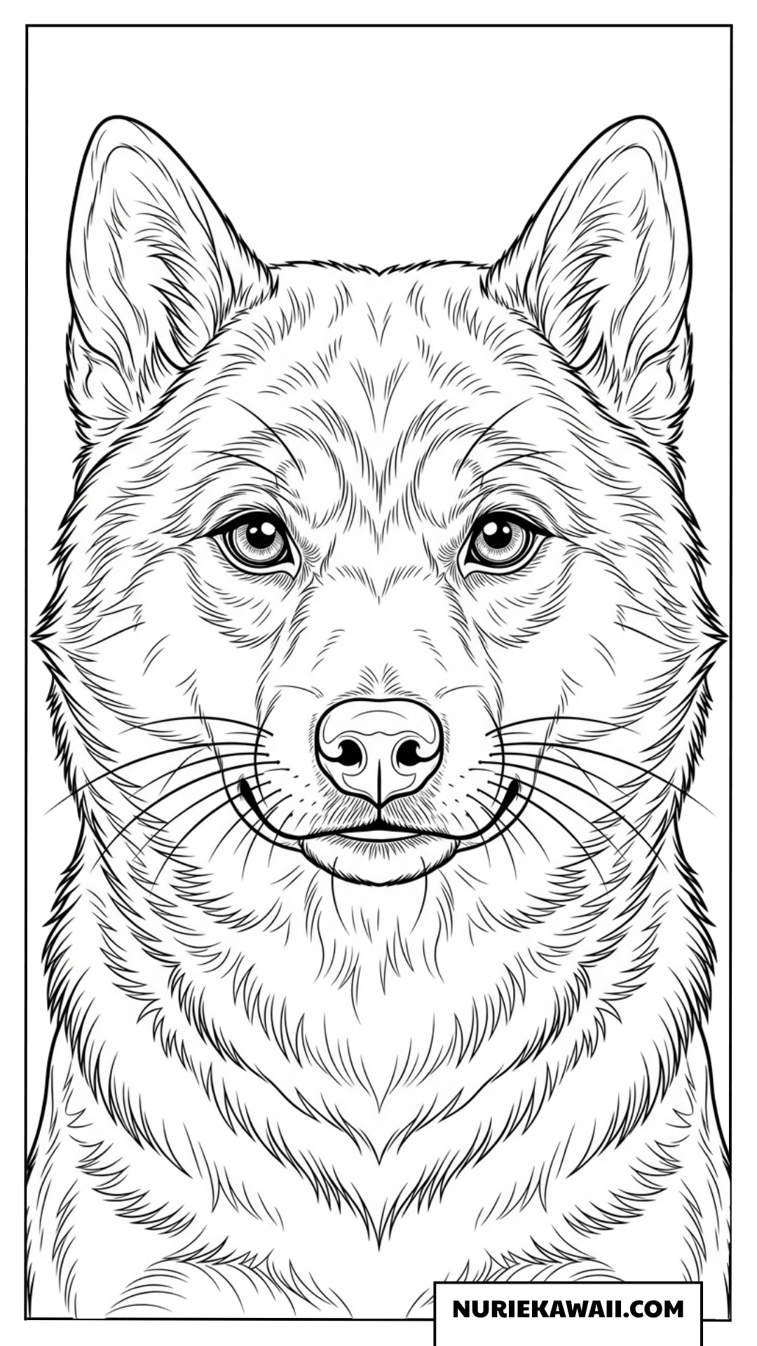 本物そっくりのリアルな表情と繊細な毛並みが美しい本格的な柴犬のポートレート塗り絵