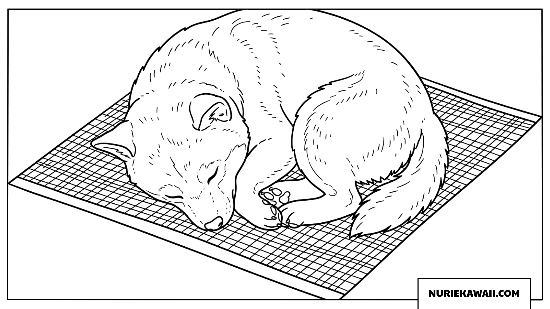 格子柄のマットの上で丸くなって眠る柴犬の塗り絵
