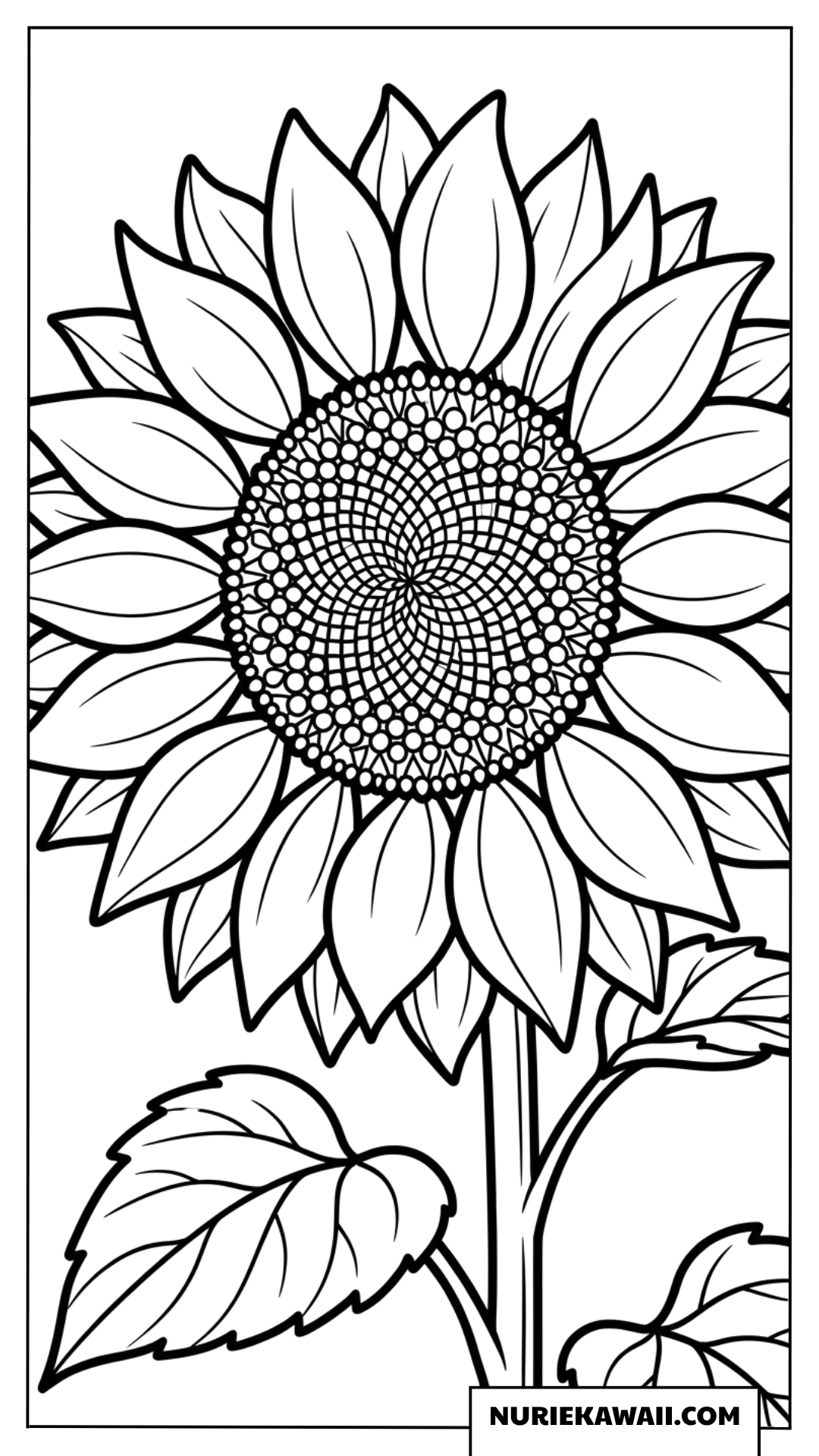正面から見た写実的で大輪なひまわりのリアルな塗り絵
