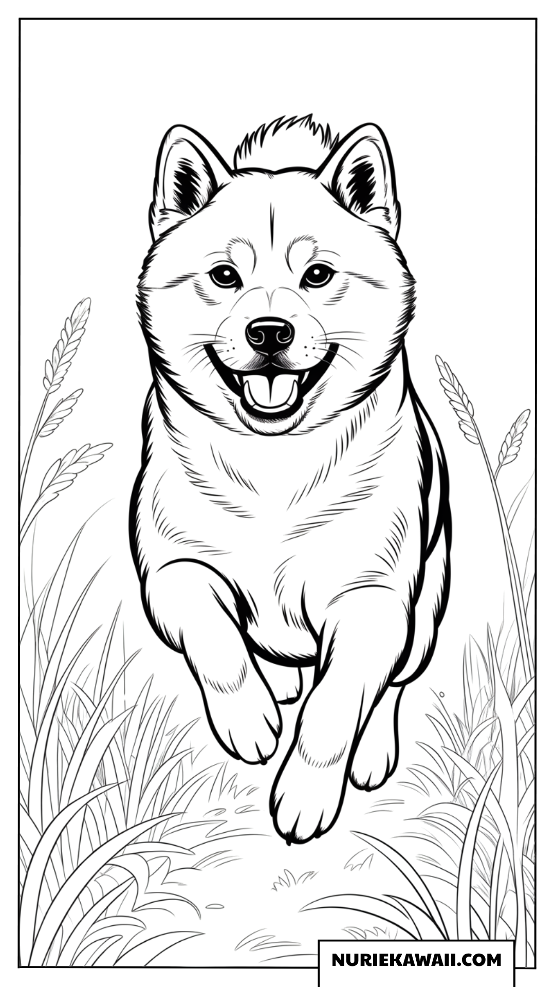 背の高い草むらや麦の穂の間を元気いっぱいに駆け抜けるリアルな柴犬の躍動感ある塗り絵