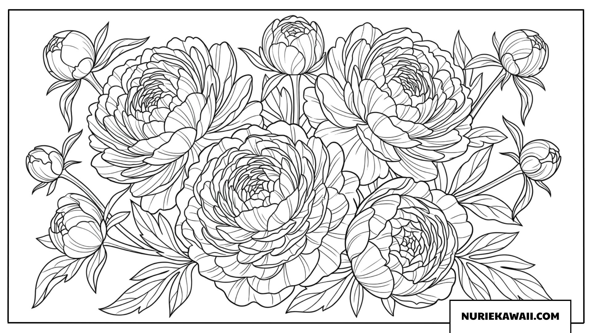 華やかな牡丹の塗り絵