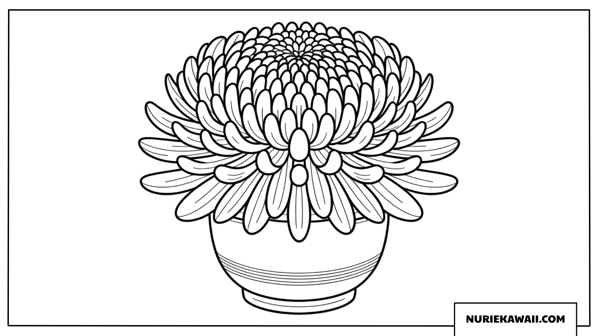鉢植えの菊の花の塗り絵