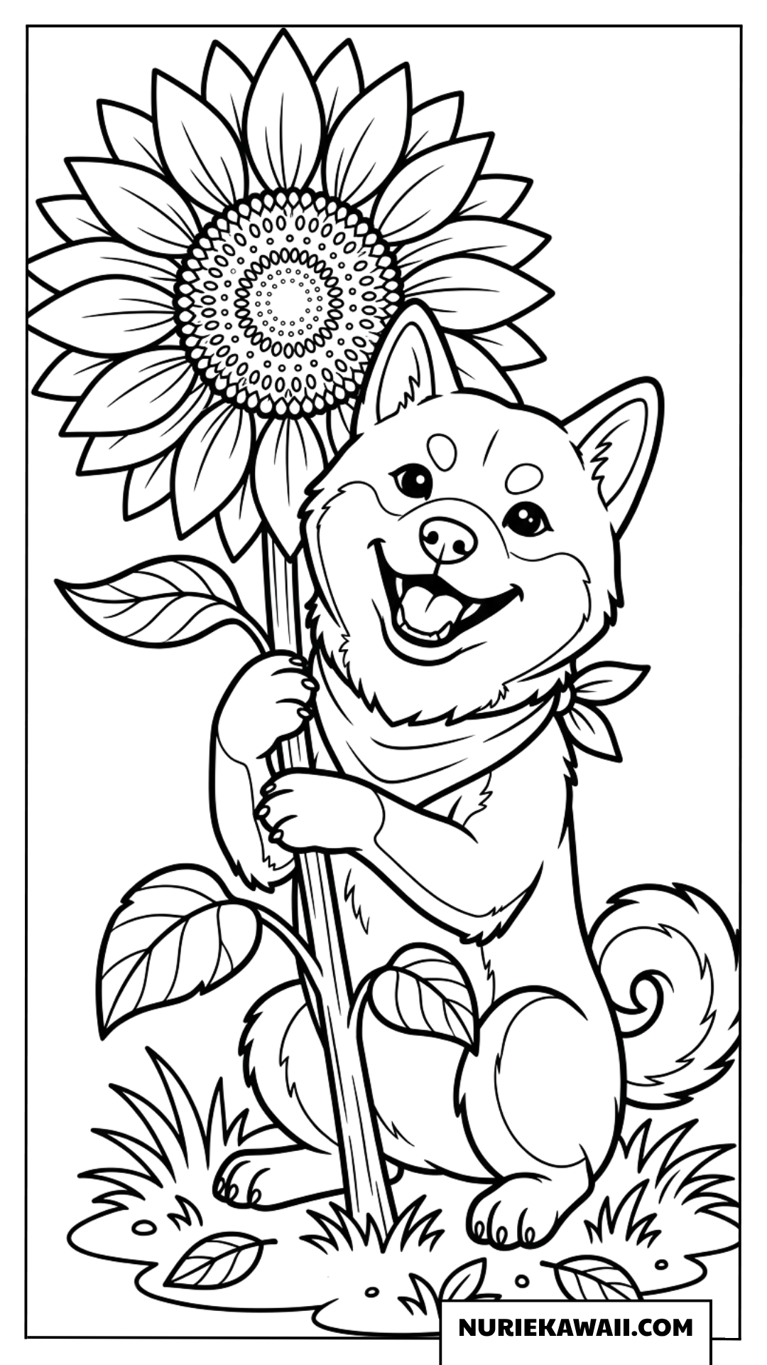 首輪スカーフを巻いた笑顔の柴犬と大きな向日葵を抱きしめる可愛い塗り絵