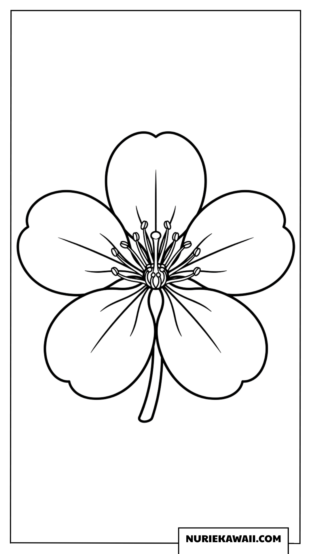 5枚の花びらが美しいシンプルな桜の一輪花の塗り絵