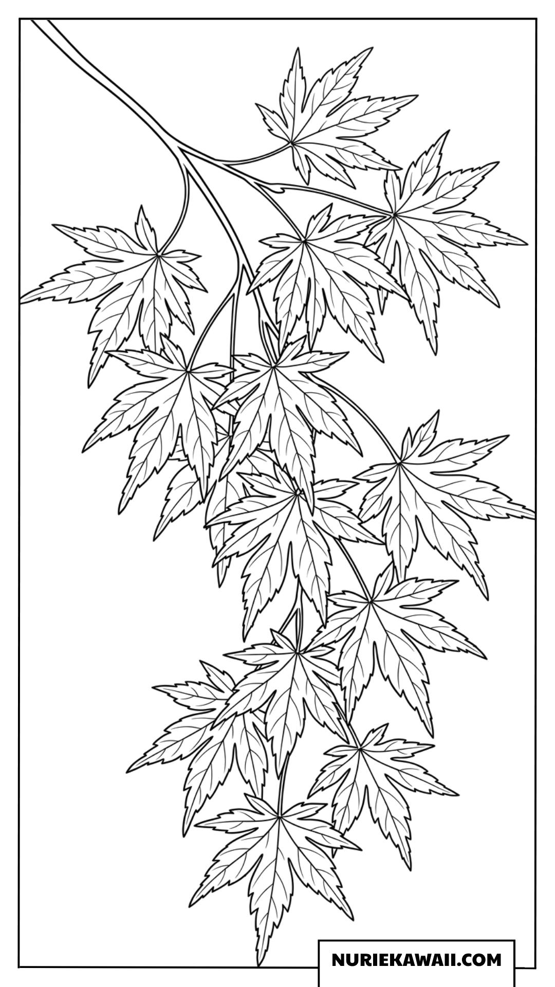 しなやかに垂れる繊細なもみじの枝の塗り絵