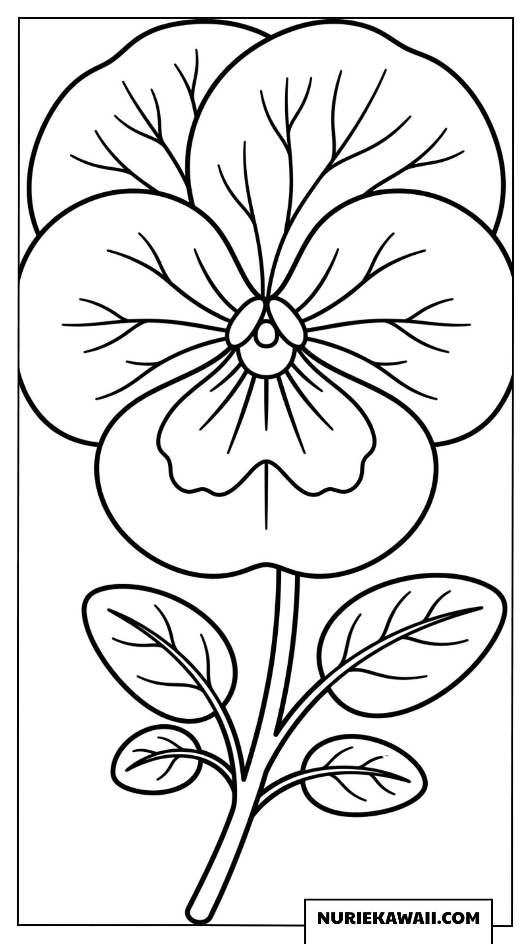 シンプルで可愛い春のパンジーの花の塗り絵