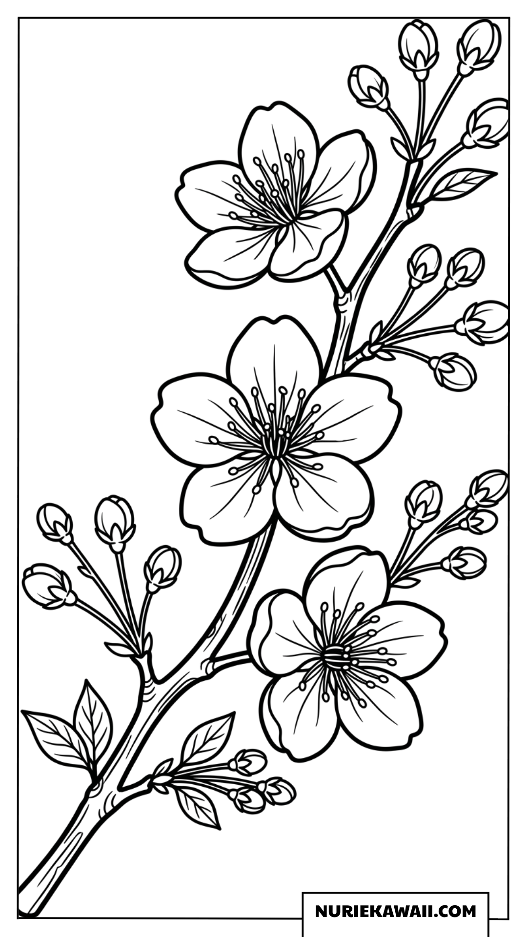 シンプルで美しい春の桜の枝の塗り絵