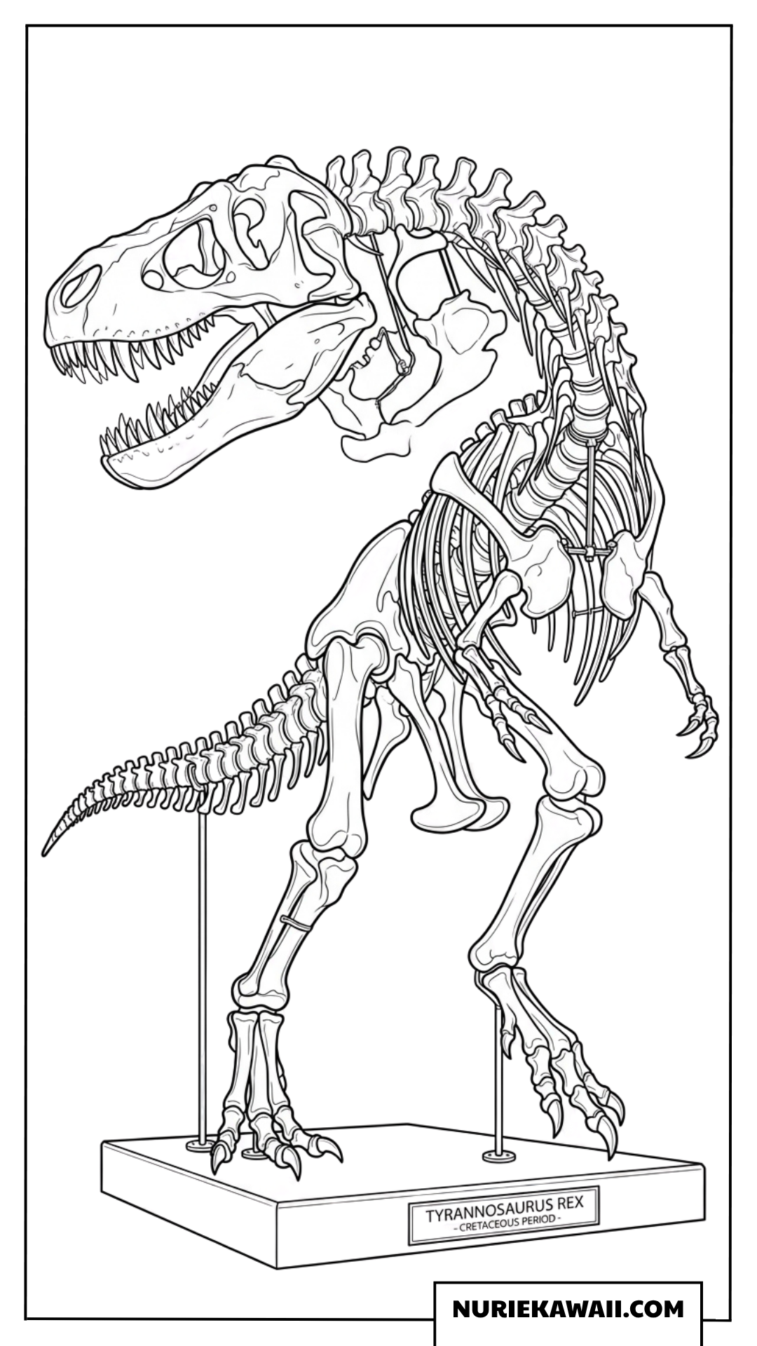 ティラノサウルスの全身骨格模型の恐竜塗り絵