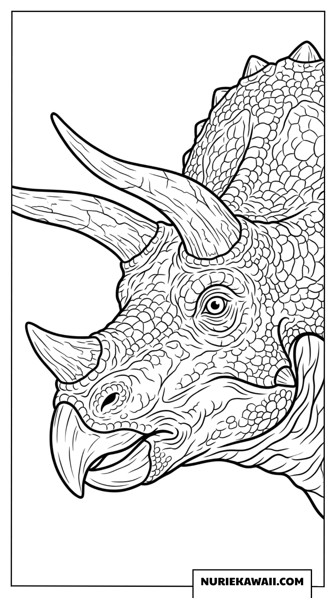 トリケラトプスの頭部をリアルに描いた恐竜塗り絵