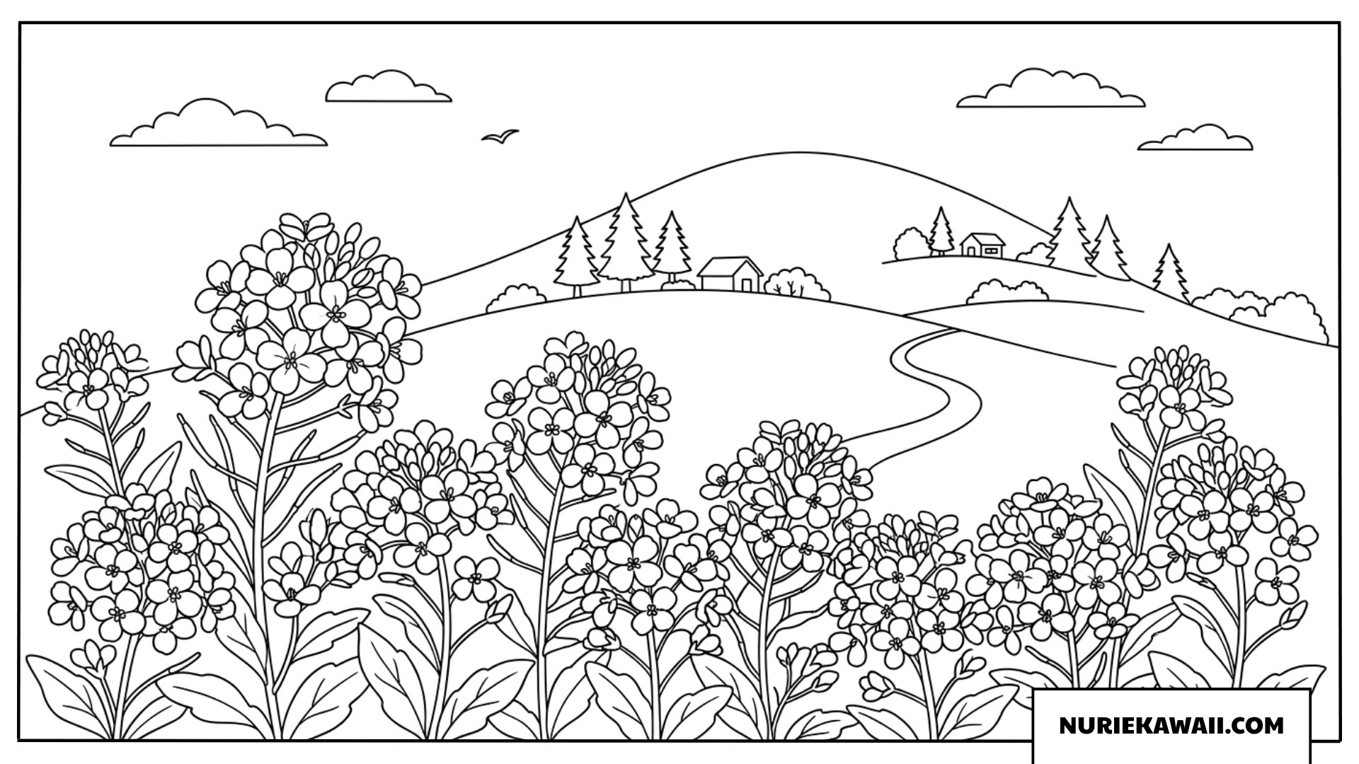 丘に咲く菜の花の塗り絵