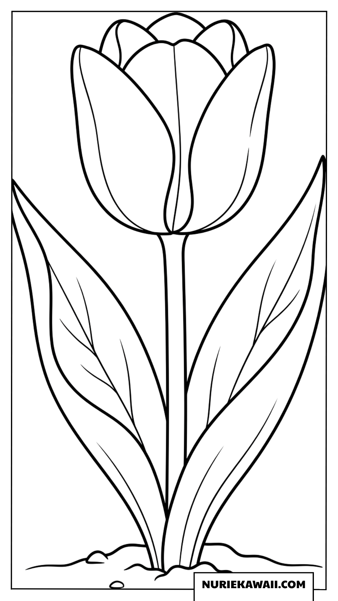 土から元気に芽吹く一輪のチューリップの塗り絵