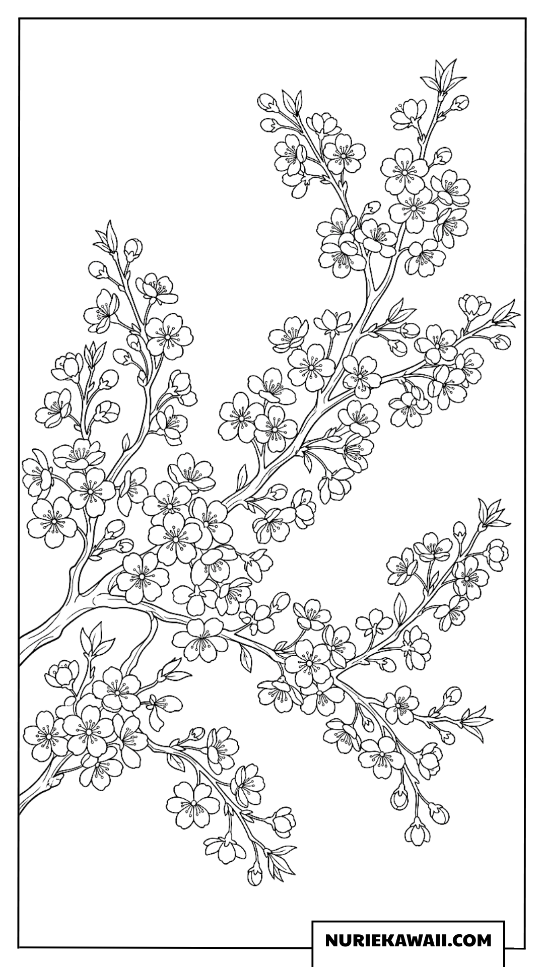 美しい春の訪れを告げる満開の繊細な桜の木の枝の塗り絵