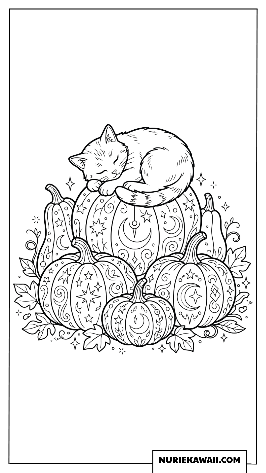 美しい模様のカボチャの上ですやすや眠る子猫の塗り絵
