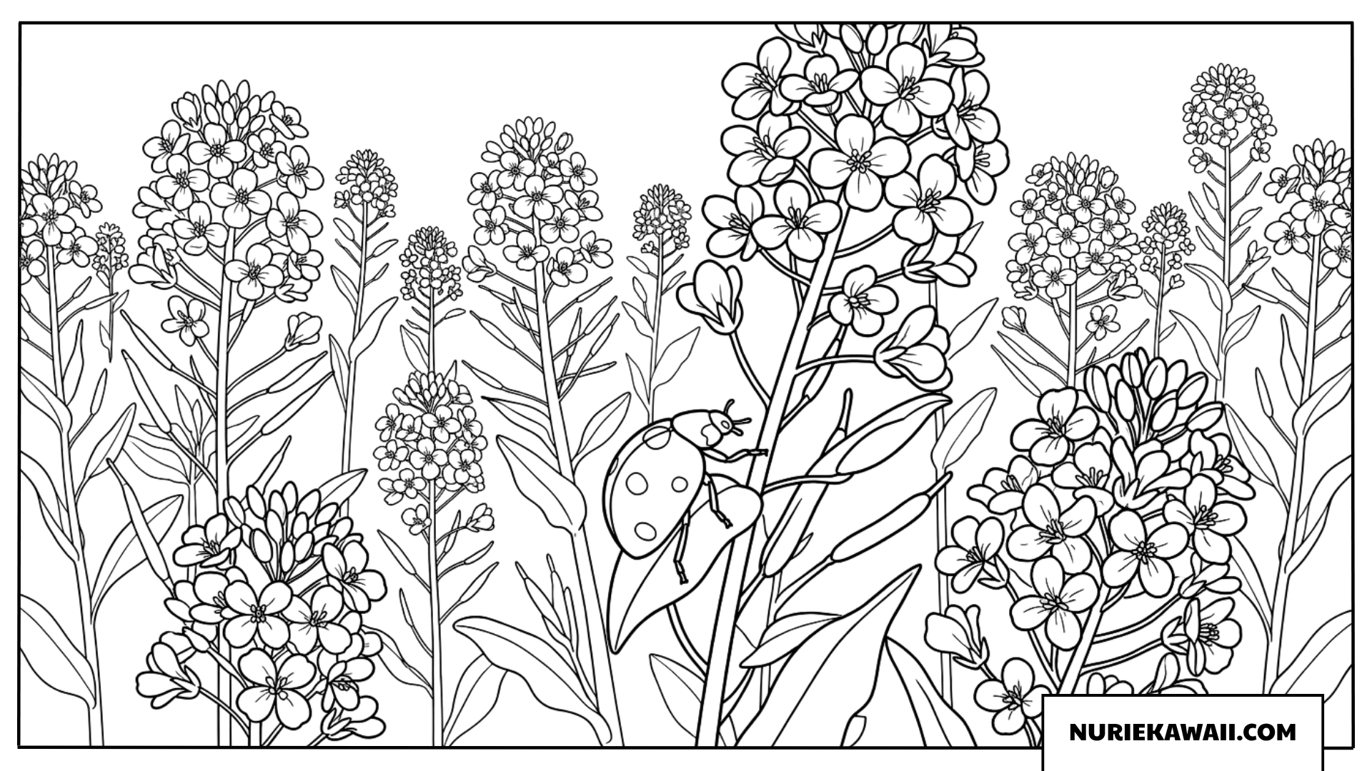 菜の花とてんとう虫の塗り絵