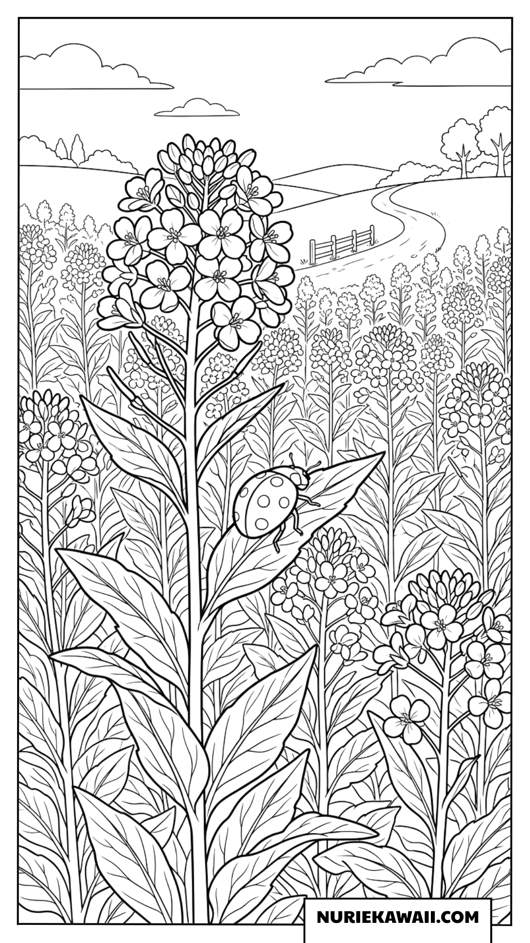 菜の花畑とテントウムシの塗り絵