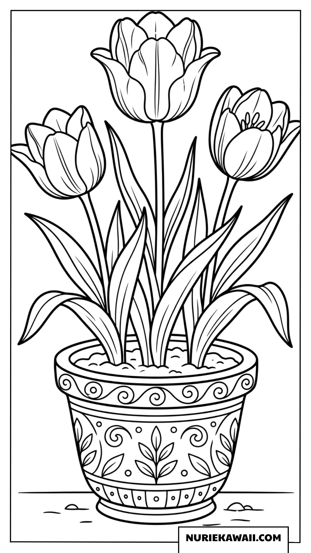 鉢植えのチューリップ三輪の塗り絵